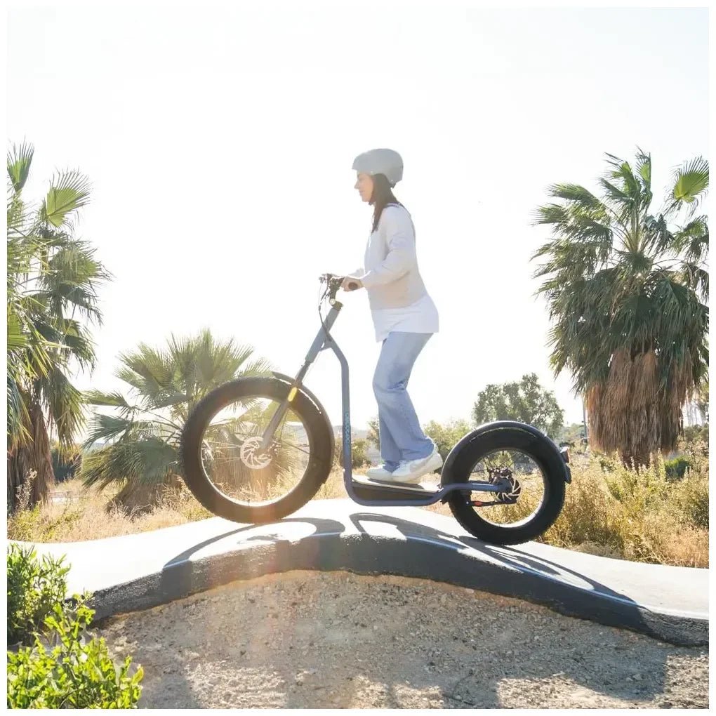 Bicinete Eléctrico Fat potente motor gran autonomía y Cumple normativa española de Cecotec 8
