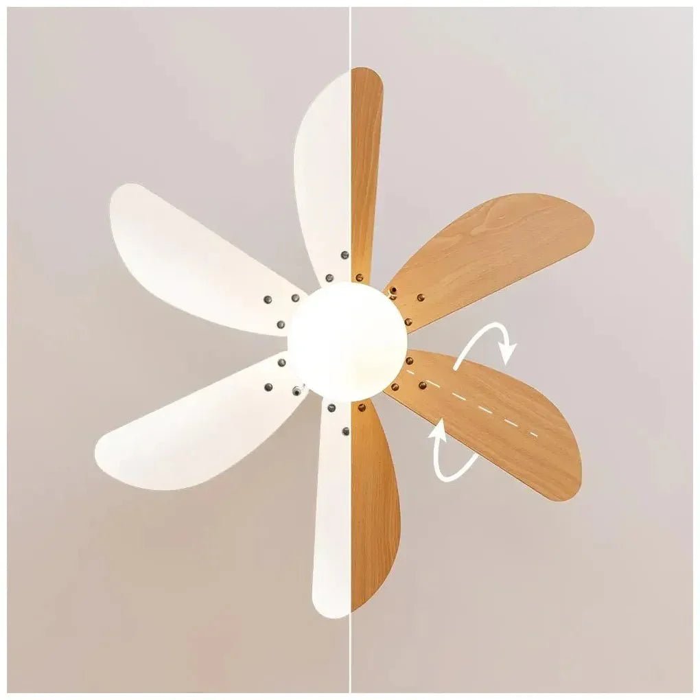 Ventilador de Techo 50W con Lámpara, 6 Aspas Reversibles y Función Invierno/Verano de Cecotec 4