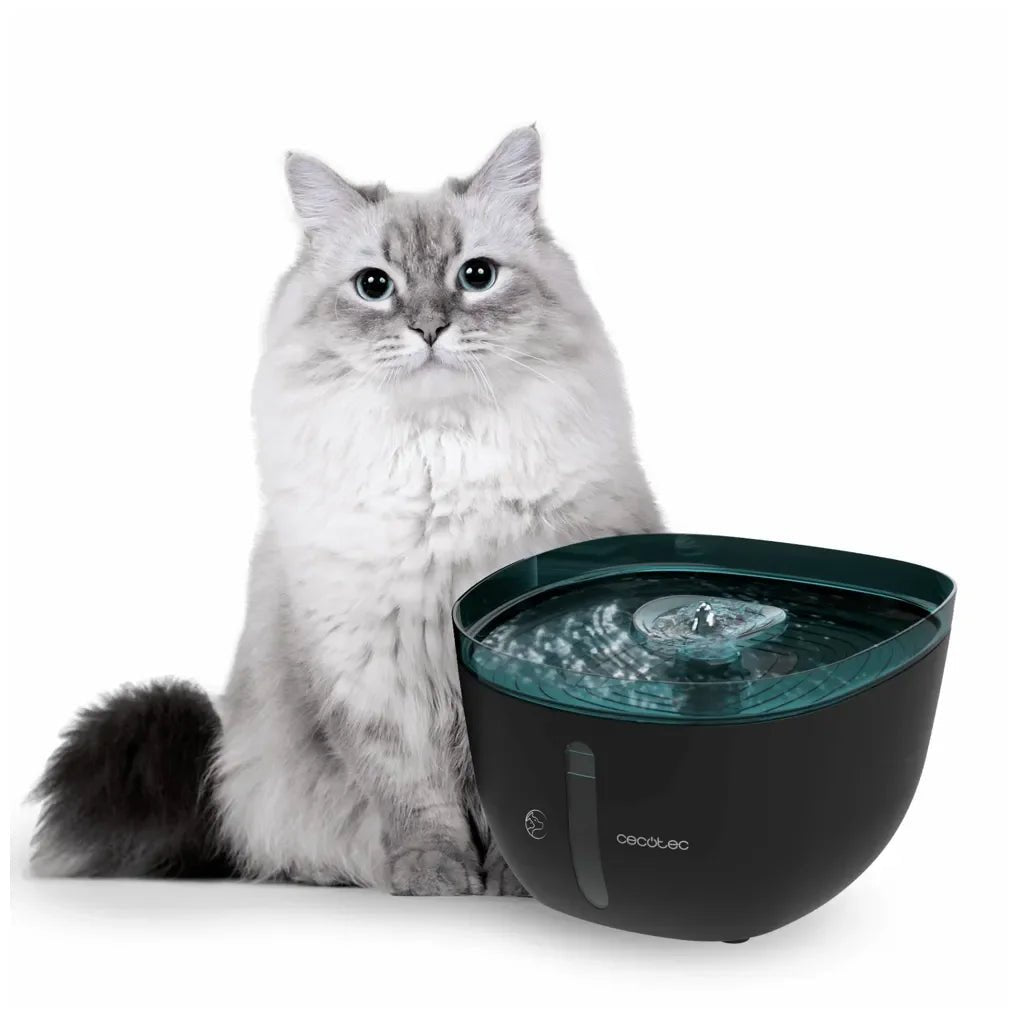 Fuente automática para mascotas 2 litros con filtro y luz interior incluida Pumba 2200 Refresh de Cecotec 2