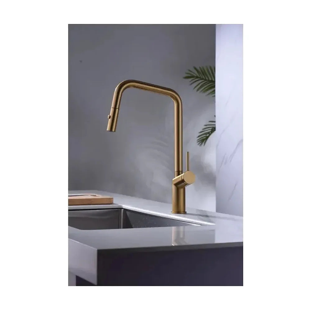 Vista principal de Grifo de cocina monomando extraíble con difusor doble jet de acabado color oro cepillado Bonn de Imex