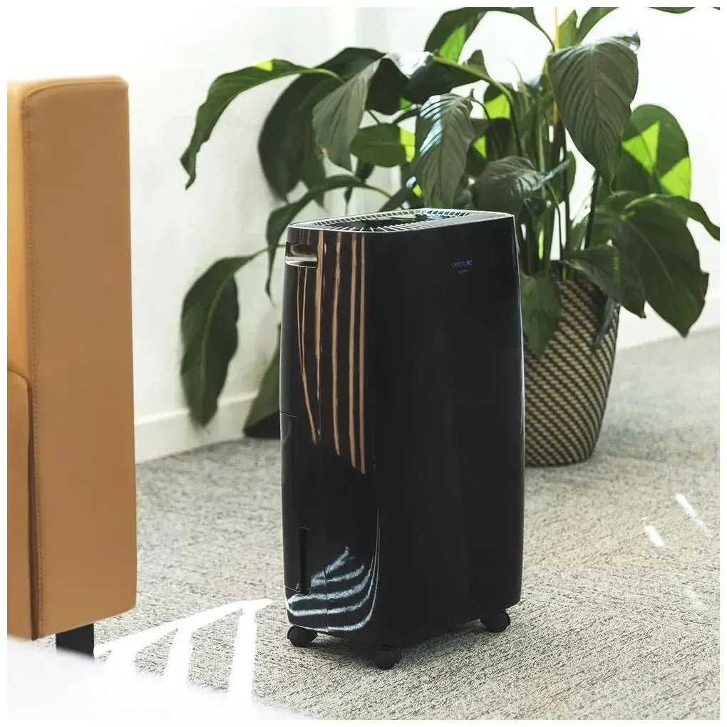 Deshumidificador Silencioso 10L/día con Temporizador y Pantalla LED, Gas Ecológico de Cecotec 3