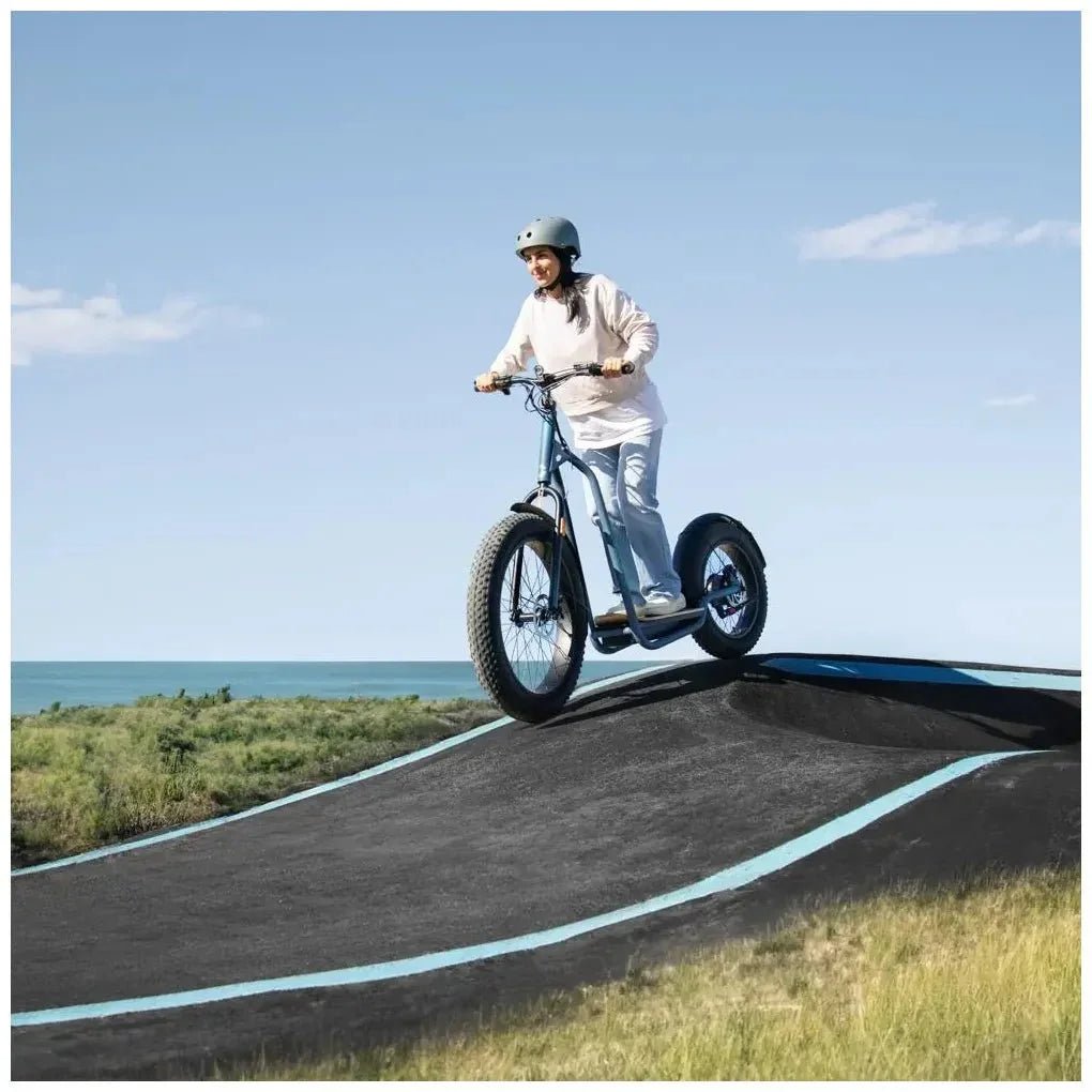 Bicinete Eléctrico Fat potente motor gran autonomía y Cumple normativa española de Cecotec 10
