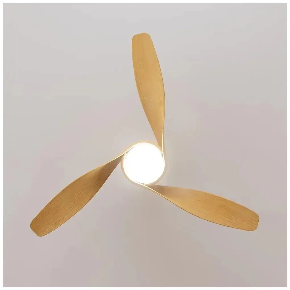 Ventilador de Techo de 52 pulgadas con Motor DC, Iluminación LED y Función Invierno-Verano de Cecotec 5