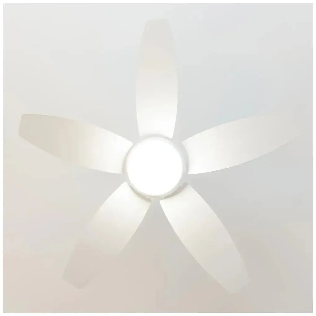 Ventilador de Techo con Luz LED, Mando y Función Verano/Invierno - 49W, 42” de Cecotec 5