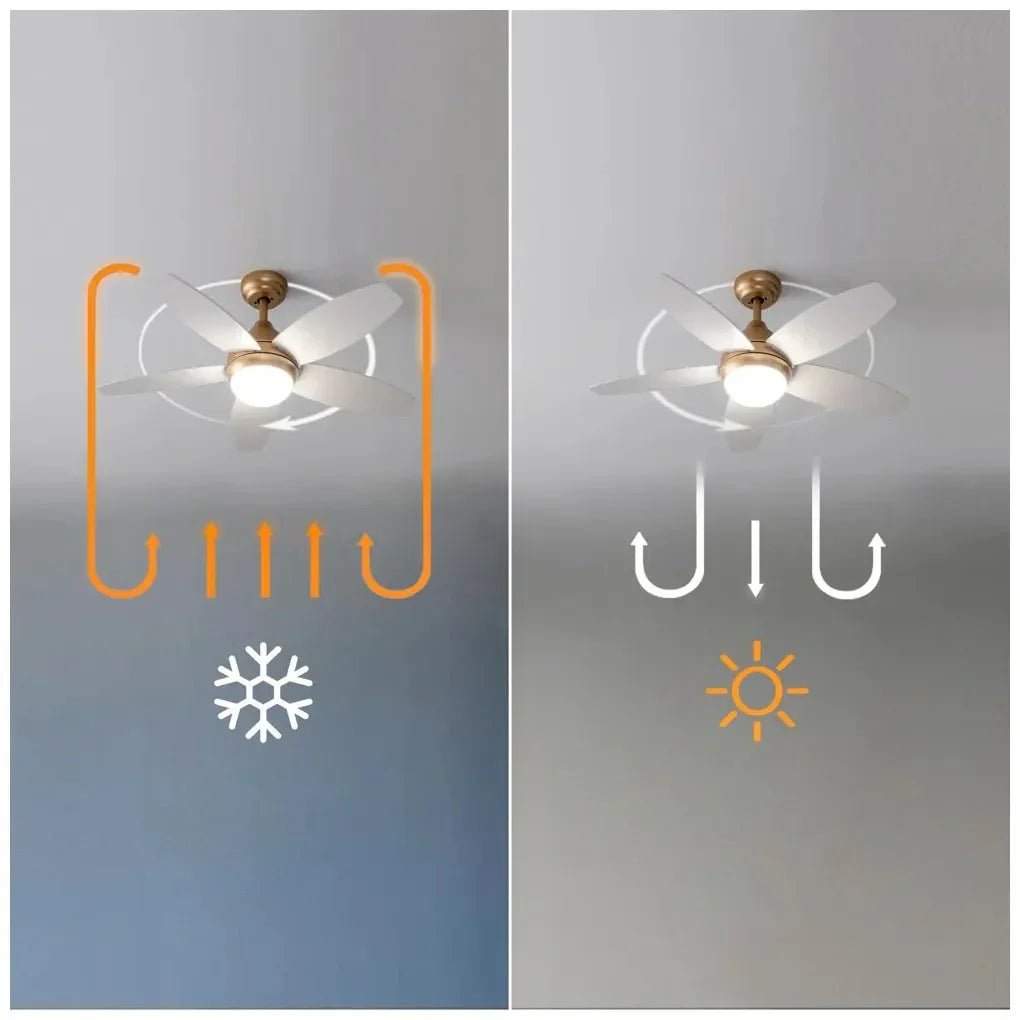 Ventilador de Techo 42'' con Luz LED, Mando y Función Verano/Invierno de Cecotec 10