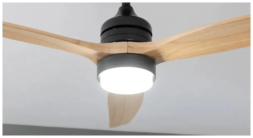 Ventilador de Techo Silencioso con Motor DC, Luz LED y Modo Invierno-Verano de Cecotec 12