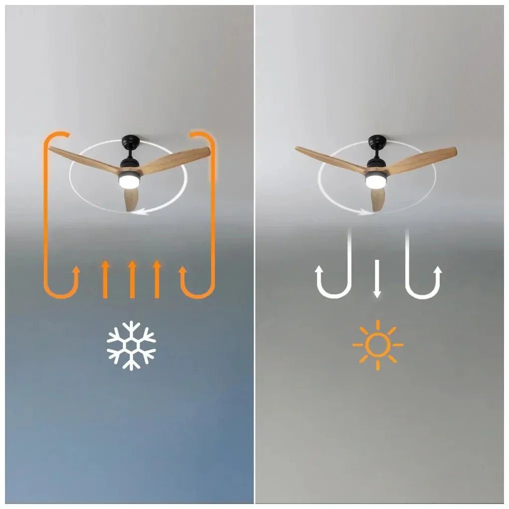 Ventilador de Techo Silencioso con Motor DC, Luz LED y Modo Invierno-Verano de Cecotec 10