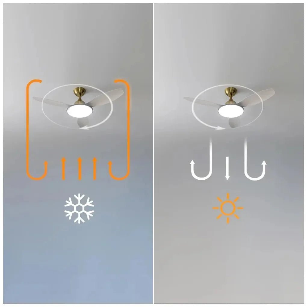 Ventilador de Techo 48 pulgadas con Motor DC, Luz LED y Control Remoto para Todo el Año de Cecotec 10