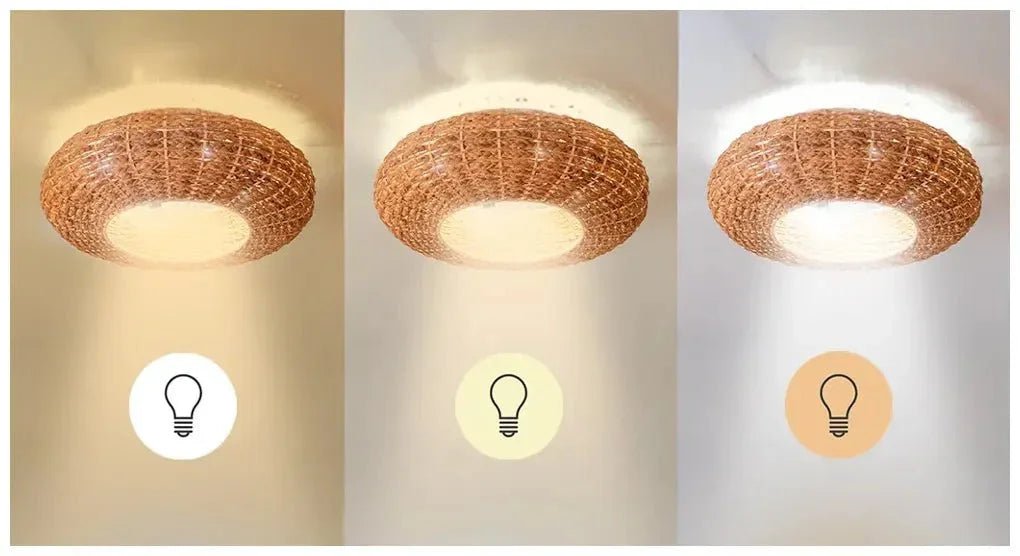 Ventilador de Techo con Lámpara y Control Remoto, Diseño Natural y Función Invierno/Verano de Cecotec 12
