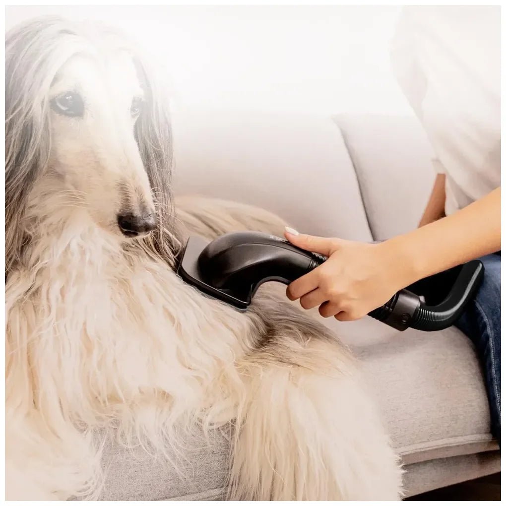 Aspirador Vertical Potente con Autovaciado y Accesorios para Mascotas de Cecotec 12