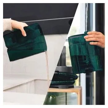 Aspiradora para tapicerías con 2 depósitos y accesorios de limpieza conga carpet&spot clean liberty xl de Cecotec 3