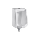 Wall-Mounted Ceramic Urinal Dumpel Fossil Natura White
