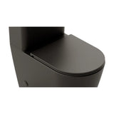 Soft-Close Toilet Seat with Quick-Release Nápoles Fossil Natura Matte Black