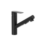 Grifería para Cocina con Caño Curvo Giratorio Ducha Extraíble 2 Funciones Cold Start Roca