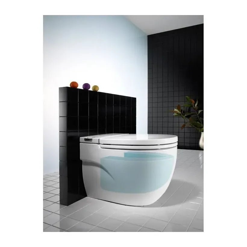 Roca Meridian In Tank Toilet Wall-mounted Of 40 Cm Depth Of Porcelain Colour White